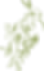 4_semear_grafismo_4.png