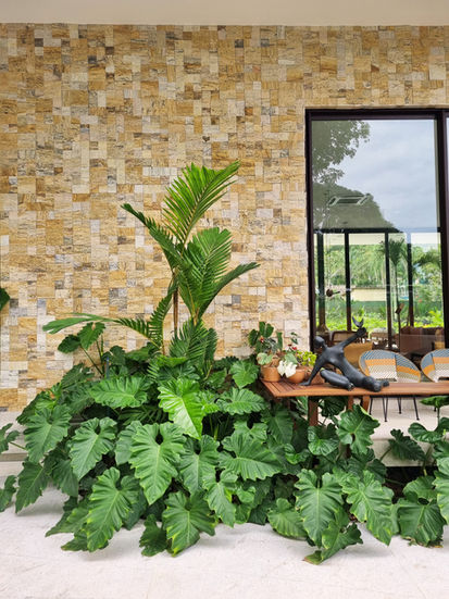 20220925_122408-edited