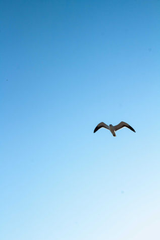 Fine art - Sissy Cerqueira - Fotografia