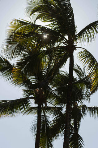 Fine art - Sissy Cerqueira - Fotografia