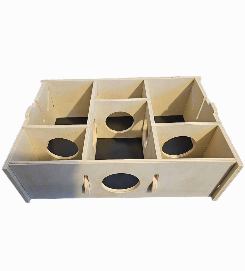 Thumbnail: Maze / Multi-Chamber Hamster Hideout