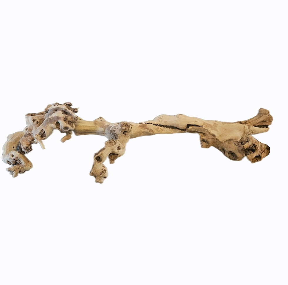 Thumbnail: Natural Grapevine Branch – Medium (Approx. 45cm)