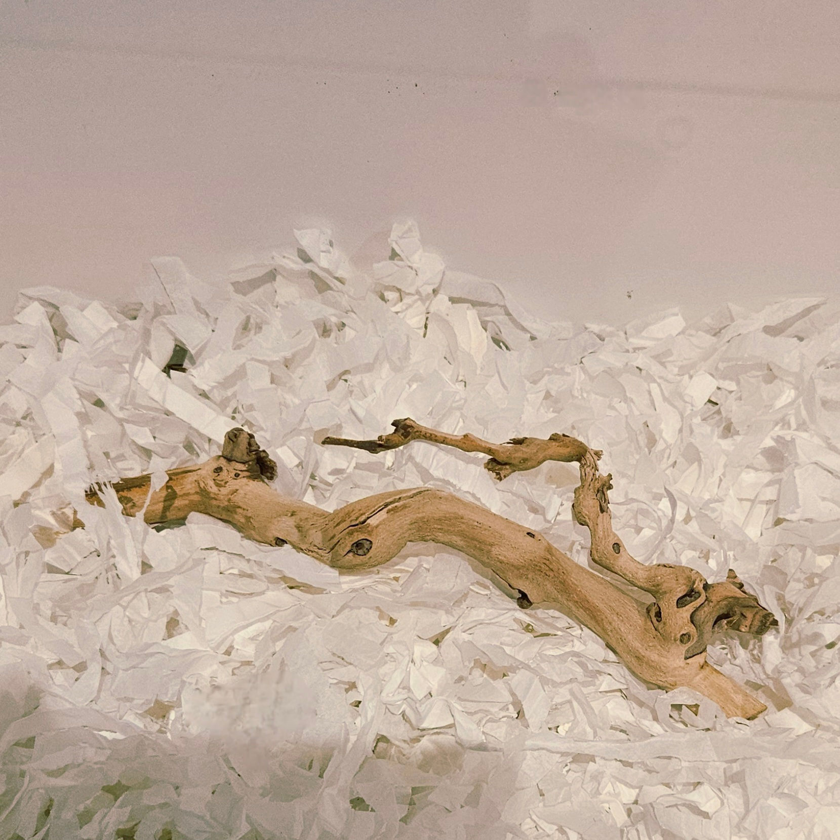 Grapevine Branch (2 sizes)