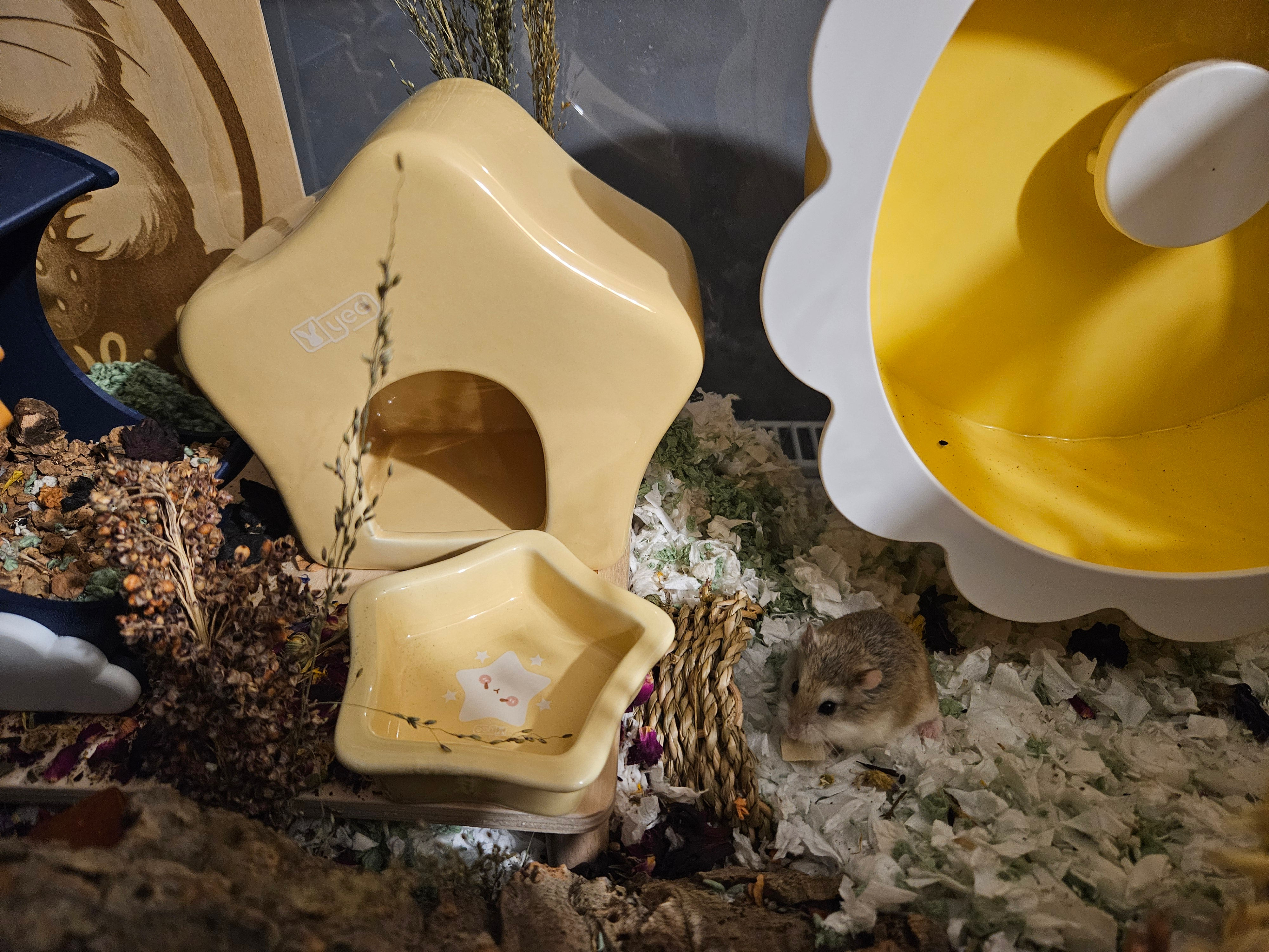 ⭐ Starry Night Ceramic Collection