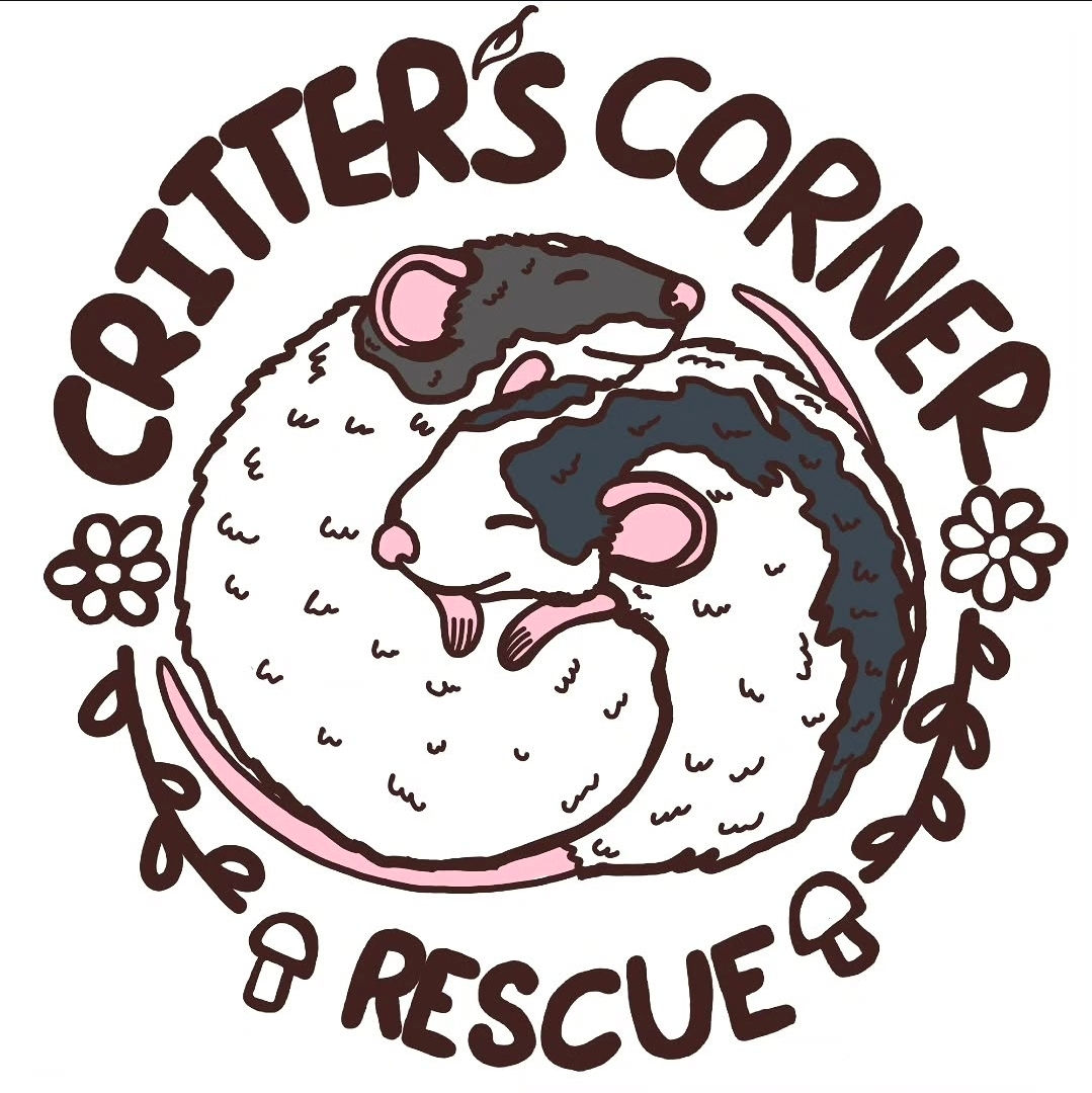 Critters Corner Rescue £5 Mystery Box 