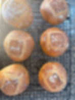 IMG_0327.jpeg