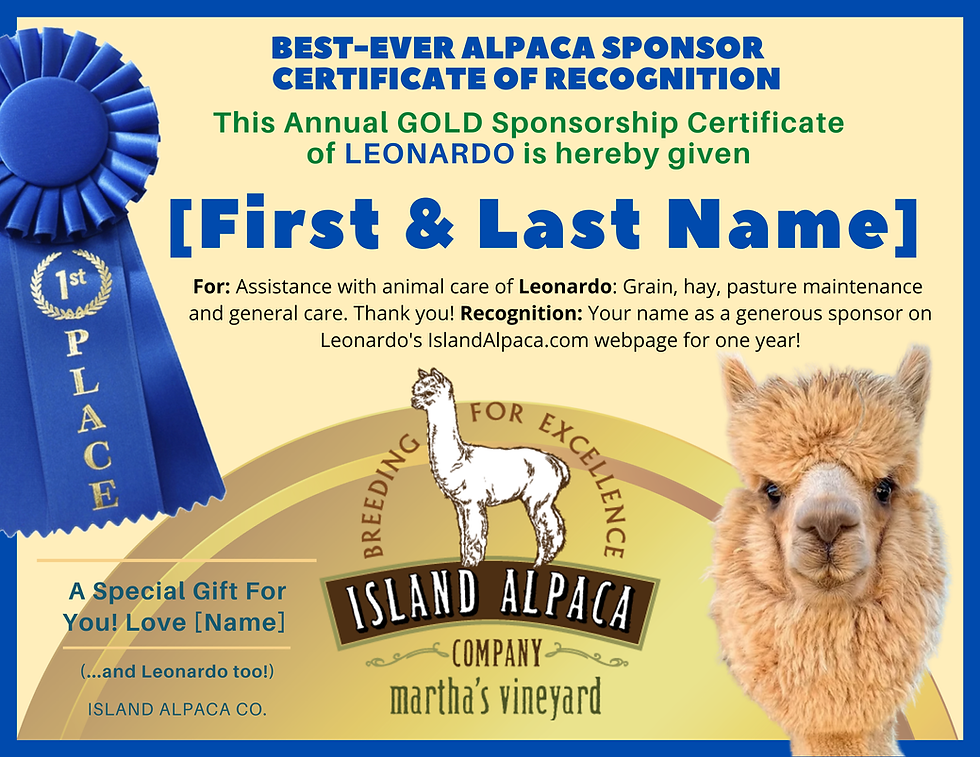 Thumbnail: Island Alpaca Sponsorship Gold
