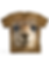 Island Alpaca Bruno Youth T-Shirt Front