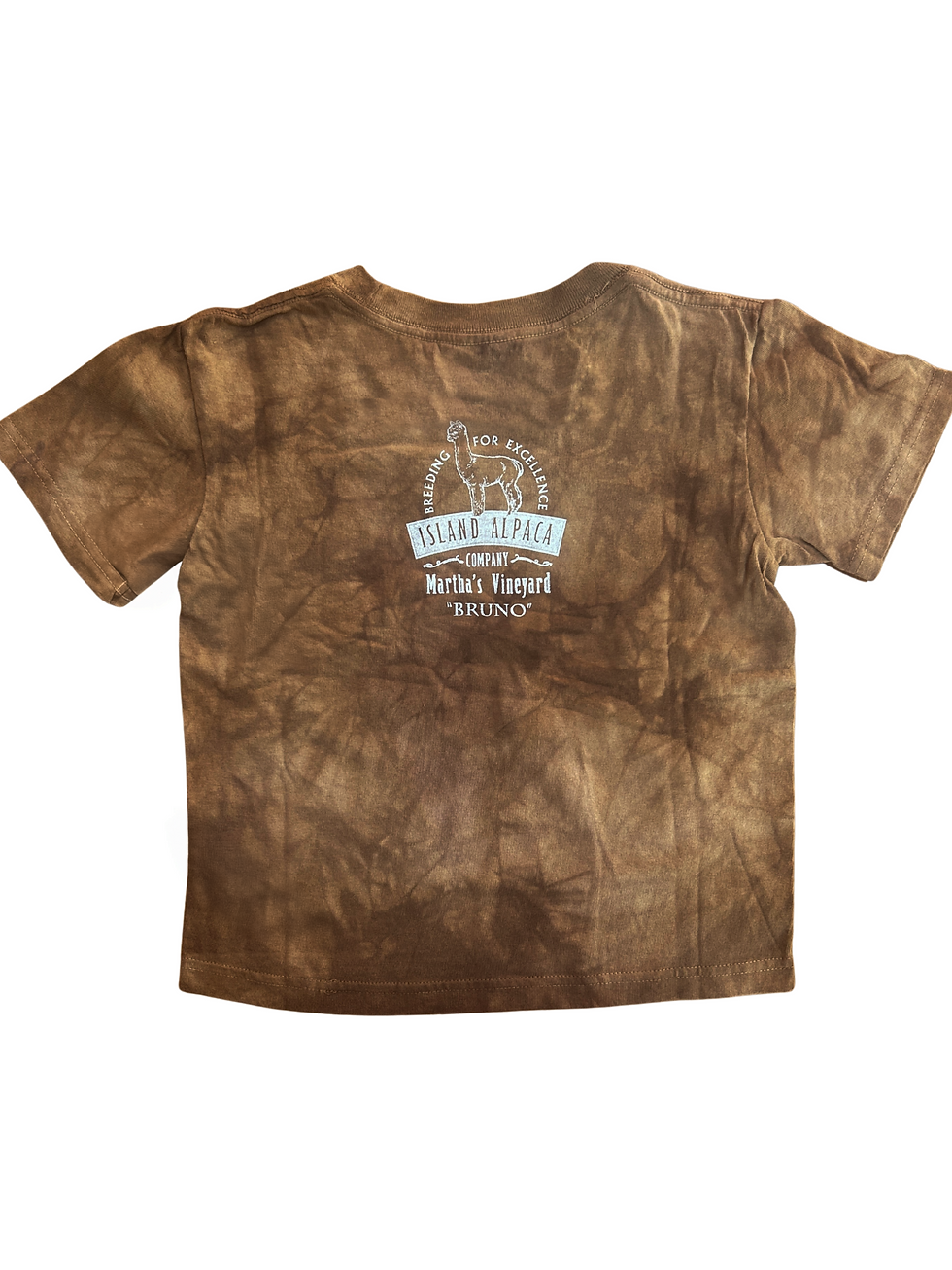 Thumbnail: Island Alpaca Bruno Youth T-Shirt Back