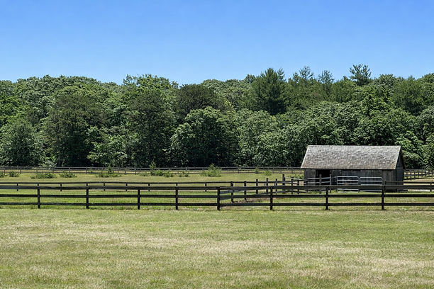 Island Alpaca pasture