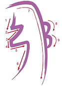 simbolos-reiki_0.jpg