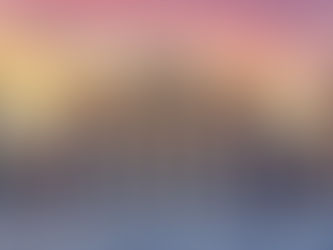 ПАРИС ХОТЫН ТӨВД МОНГОЛ, СОЛОНГОС ХООЛНЫ ГАЗАР АЖИЛЛАЖ БАЙНА.