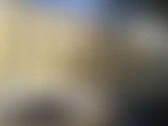 АВСТРИ ДАХЬ МОНГОЛЫН ЭЛЧИН САЙДЫН ЯАМНЫ ЗАРЛАЛ