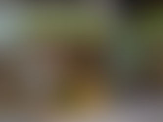 ЧЕХ УЛСАД ГАДНЫ ИРГЭД ГАРААНЫ БИЗНЕС ЭХЛҮҮЛЭХ ТААТАЙ НӨХЦӨЛТЭЙ