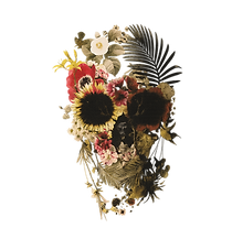 Skull Image_edited.png
