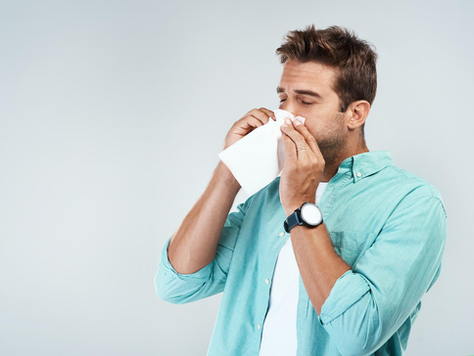 Allergie estive: rimedi naturali e farmaceutici per affrontarle al meglio
