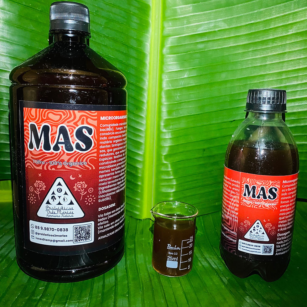 Microorganismos Antioxidantes Sintrópicos (MAS)