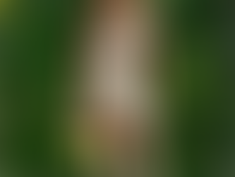 CELSIUS Energy Drink Tropical Vibe Event