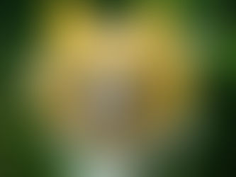 New AI Art Has Artists, Collaborators Wondering: Who Gets the Credit?