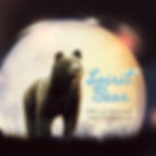 SPIRIT bEAR1.jpeg