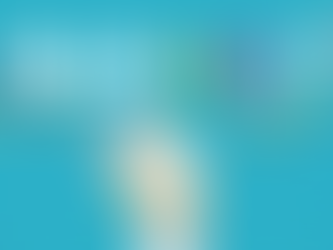 Budget, Budget, Budget 