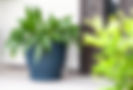 Large Planters.jpg