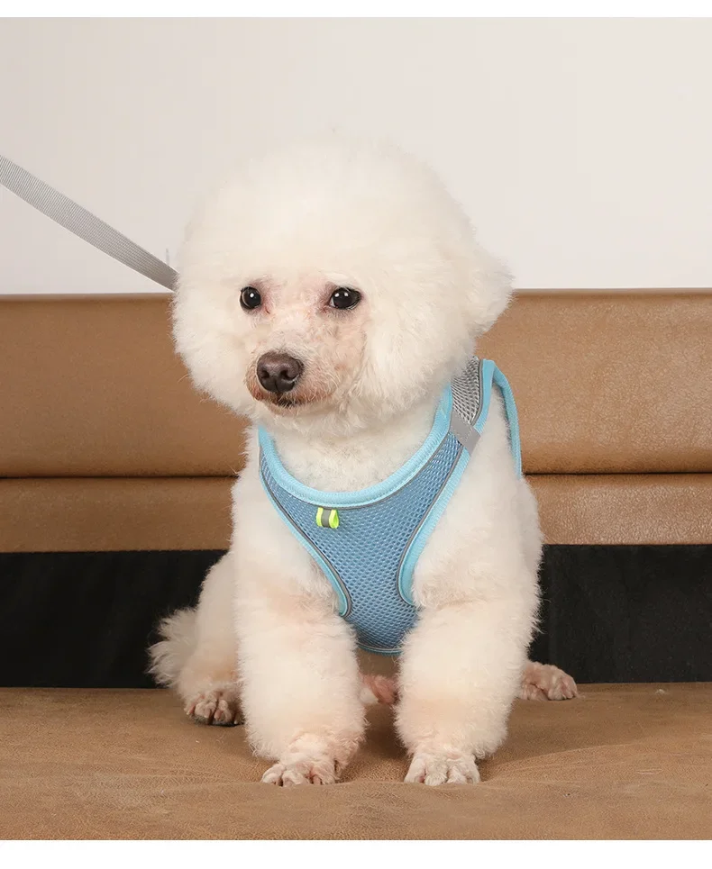 Coleira Peitoral Ajustável para Cães Pequenos – Conforto e Segurança