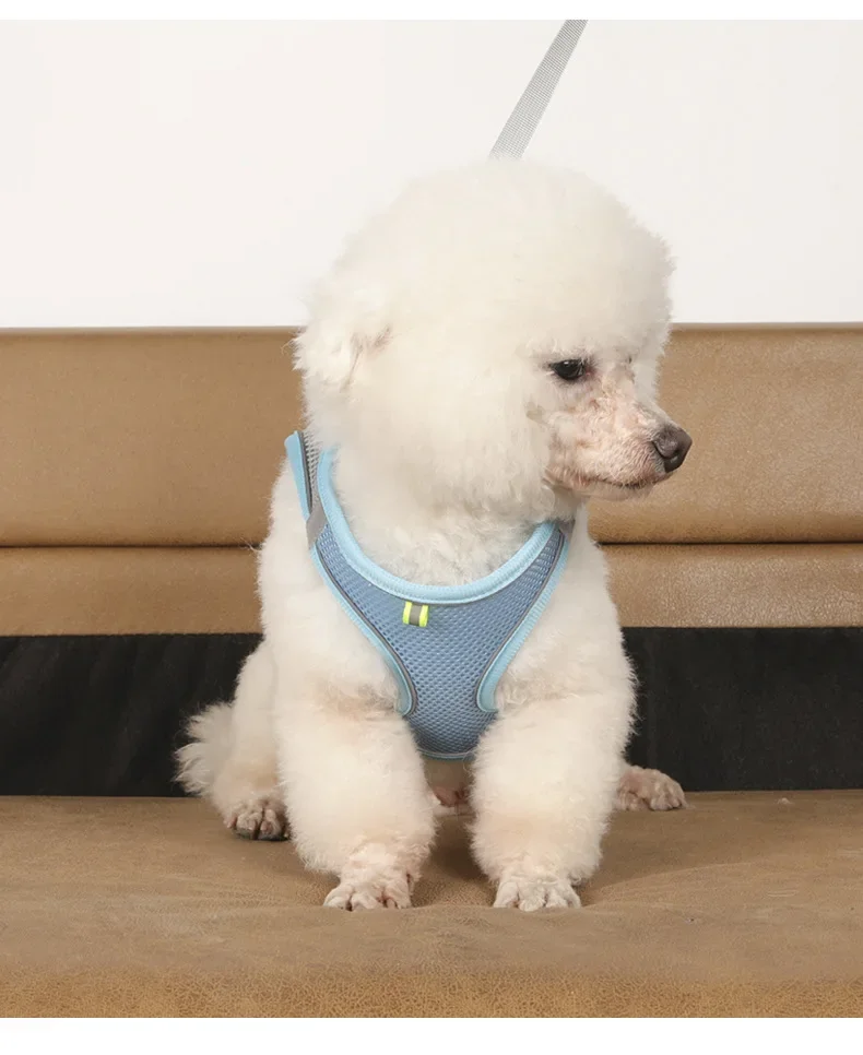 Miniatura: Coleira Peitoral Ajustável para Cães Pequenos – Conforto e Segurança