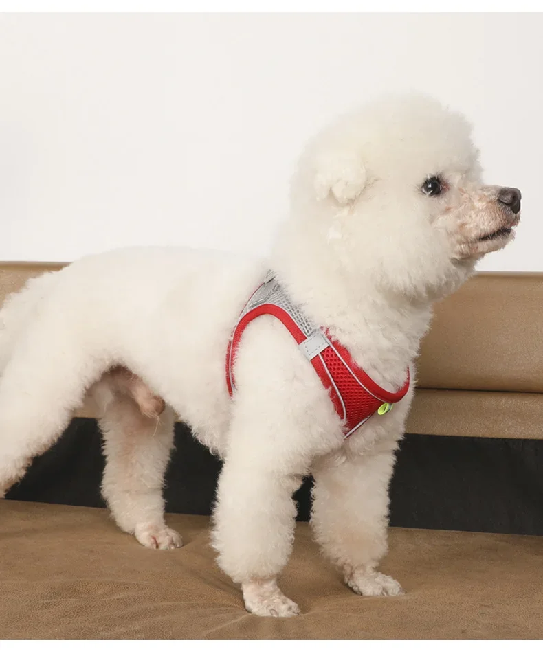 Coleira Peitoral Ajustável para Cães Pequenos – Conforto e Segurança