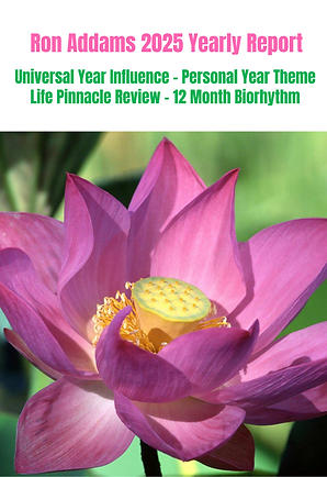 ALEX TAM NUMEROLOGY LIFE BLUEPRINT 2025 (1).png