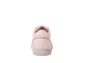 Dreambox Apparal 00112.png