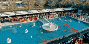 ezgif.com-optimize-3.gif