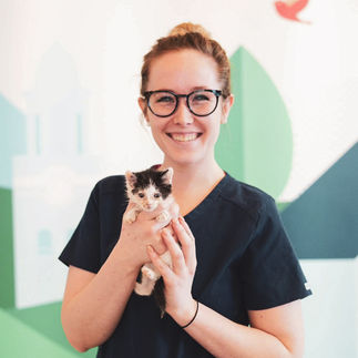 Vet with kitten