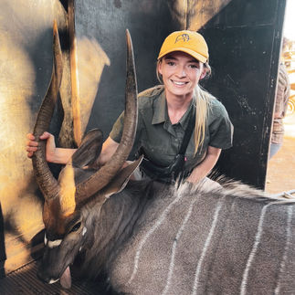 Woman with sedated Nyala Bull