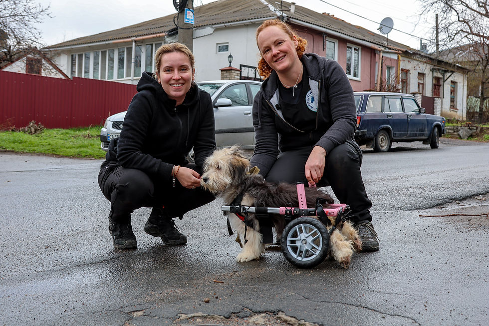 Two female veterinary professionals on the frontline of Ukraine