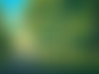 Höstens vägröjning lördag 4 oktober