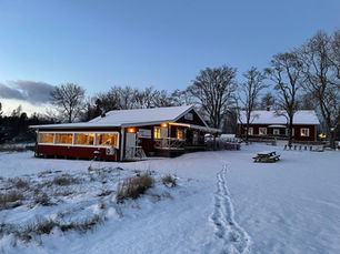 Julmarknad och julpub 29/11