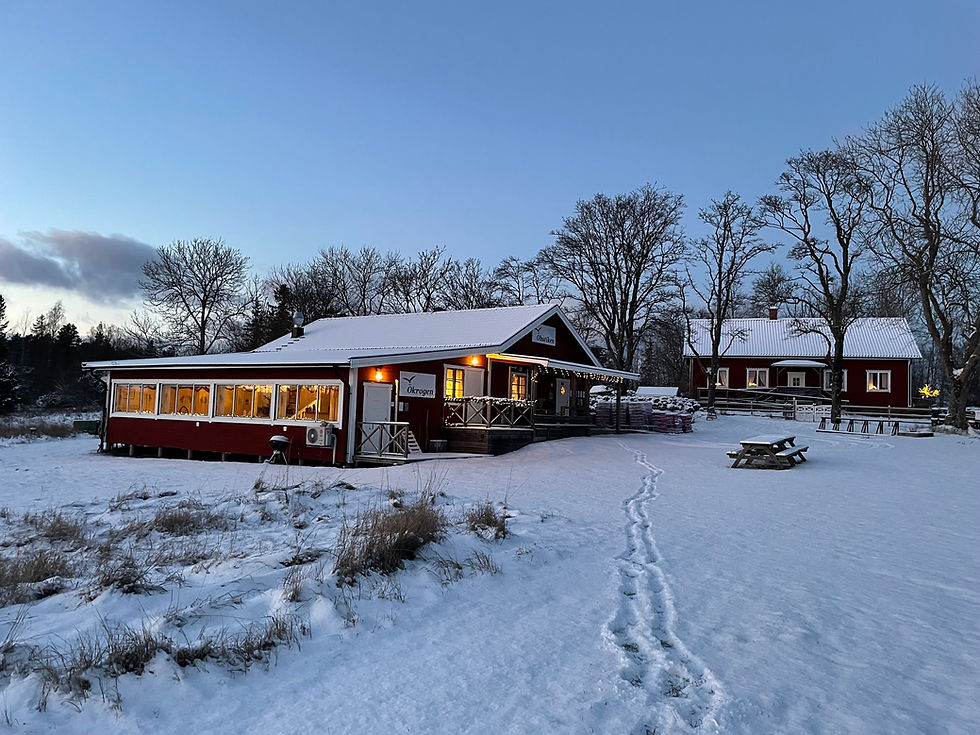 Julmarknad och julpub 29/11