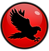 nighthawk logo round png.png