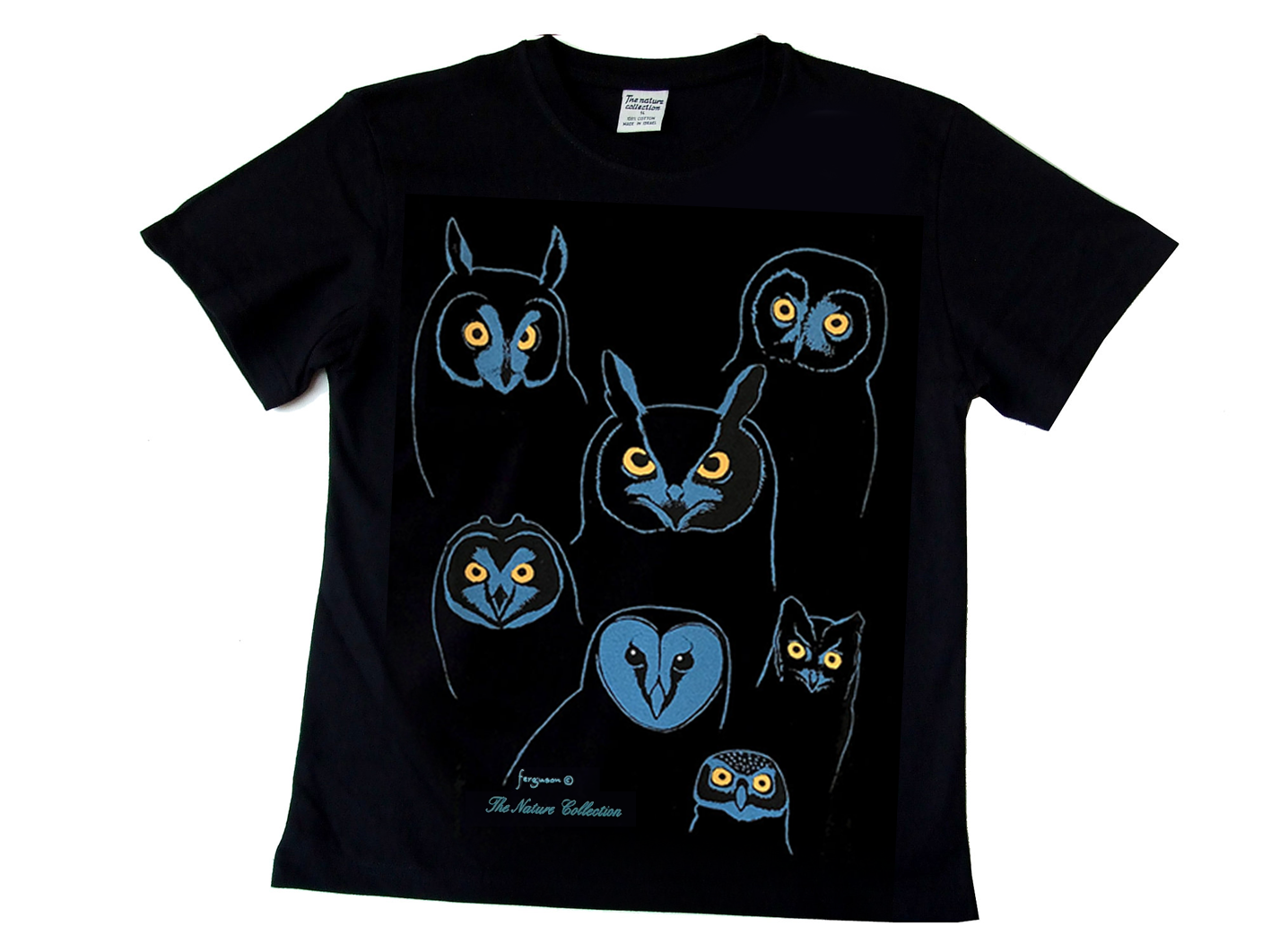 Owls