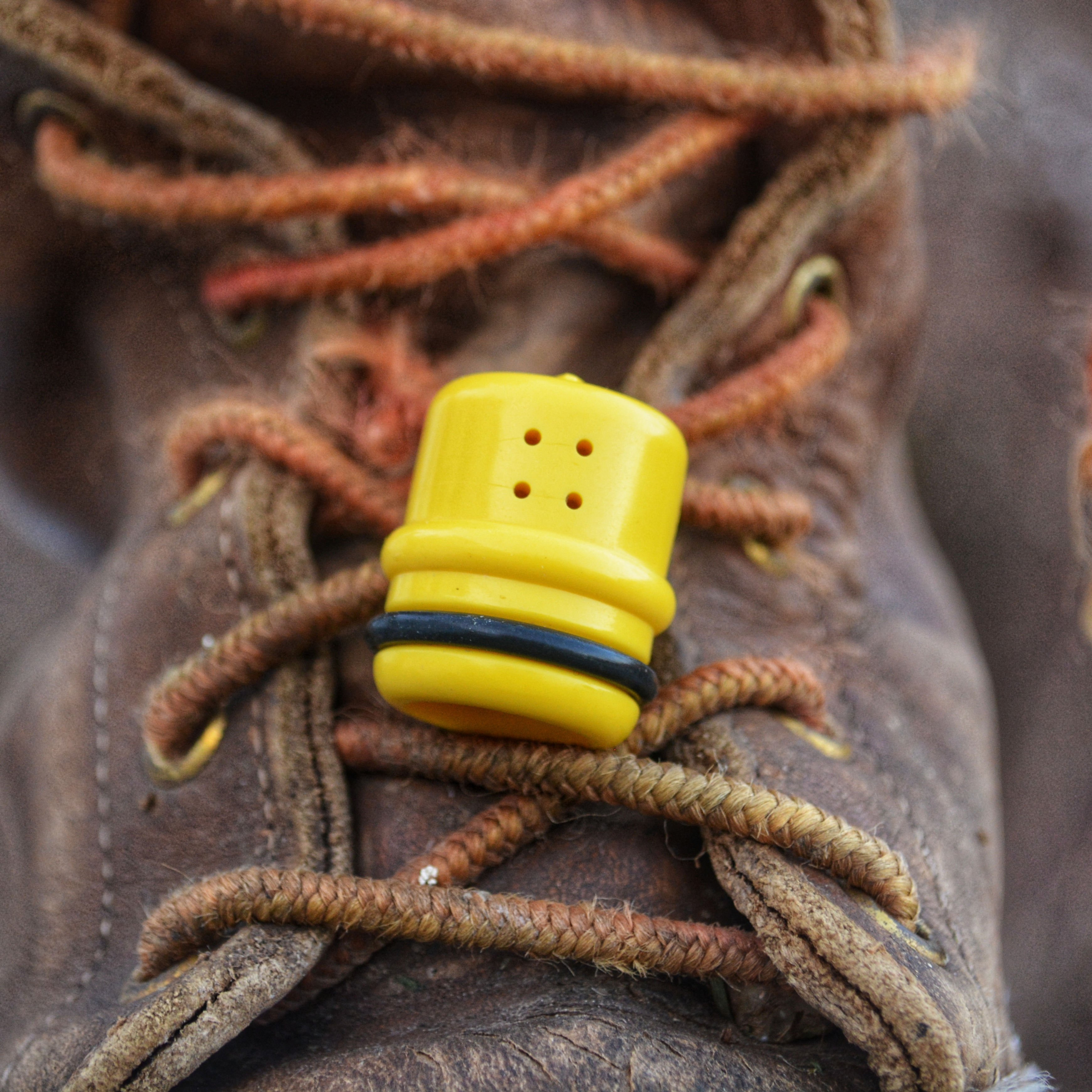 I Wanna Be a Lumberjack Bidet