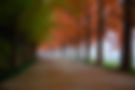 beautiful road.jpg