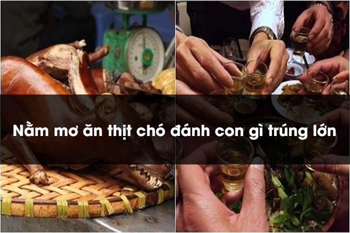 nằm mộng ăn làm thịt chó đánh con gì content media