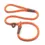 Thumbnail: Orange |  Dog Show | Slip Lead