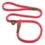 Thumbnail: Red | Dog Show | Slip Lead