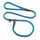 Thumbnail: Blue | Dog Show | Slip Lead
