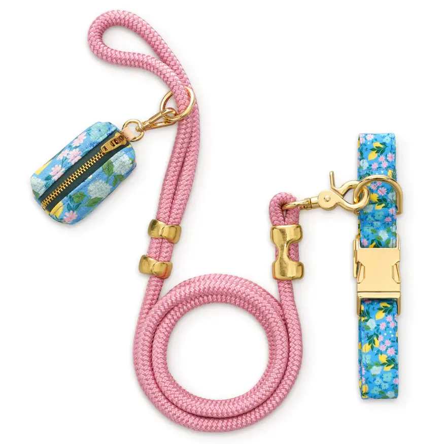 Bees in Bloom Collar Walk Set