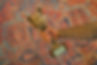 AAF69843-FBE7-46E1-9696-11AE70DDD5F8_1_105_c.jpeg