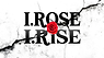 I.ROSE I.RISE Foundation logo, providing international support and women travel safety resources.