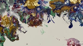 LA SEMILLA ESTÁ EN TUS MANOS